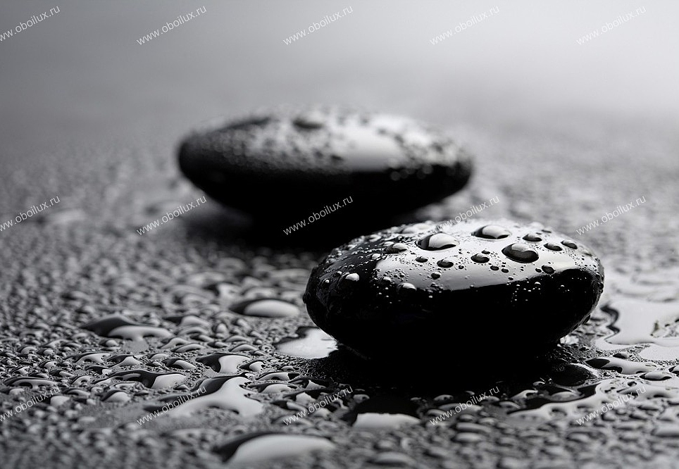 Панно и фотообои A. S. Creation XXL II 370 Two Black Stones 