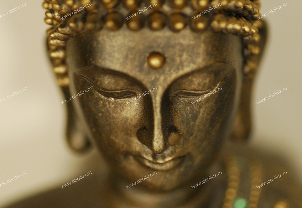Панно и фотообои A. S. Creation XXL II 372 Buddha In Portrait