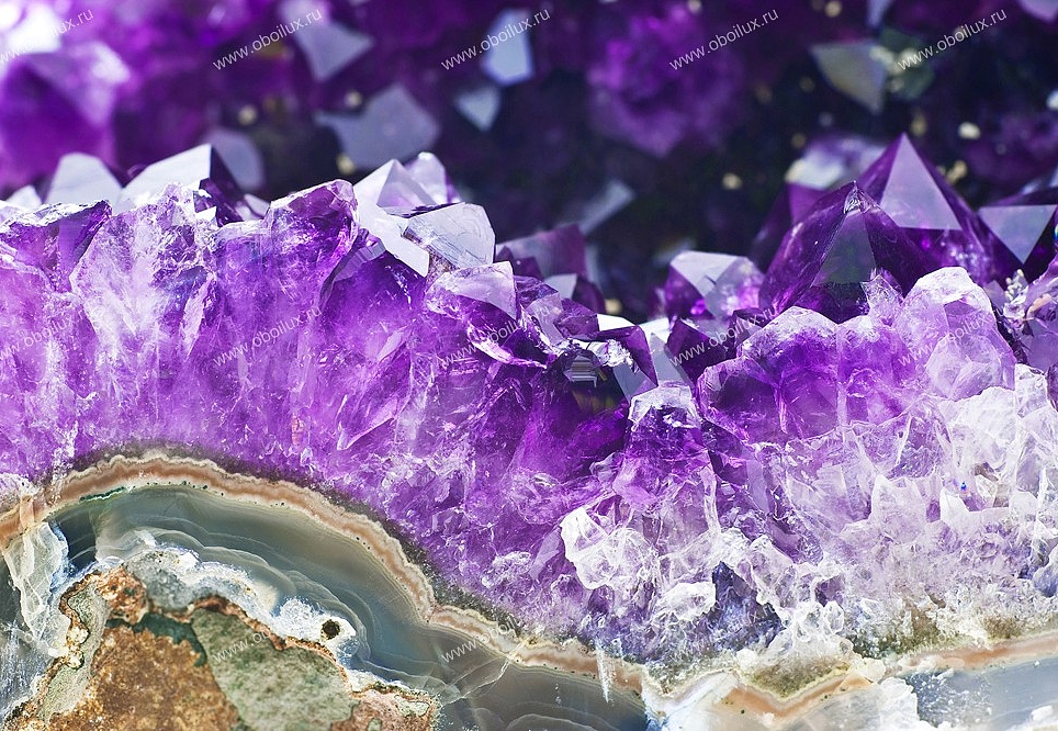 Панно и фотообои A. S. Creation XXL II Violet Amethyst 377