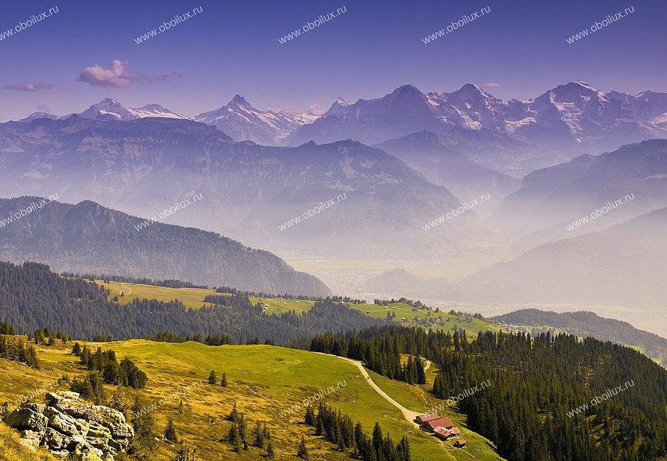Панно и фотообои A. S. Creation XXL II Wide View 385