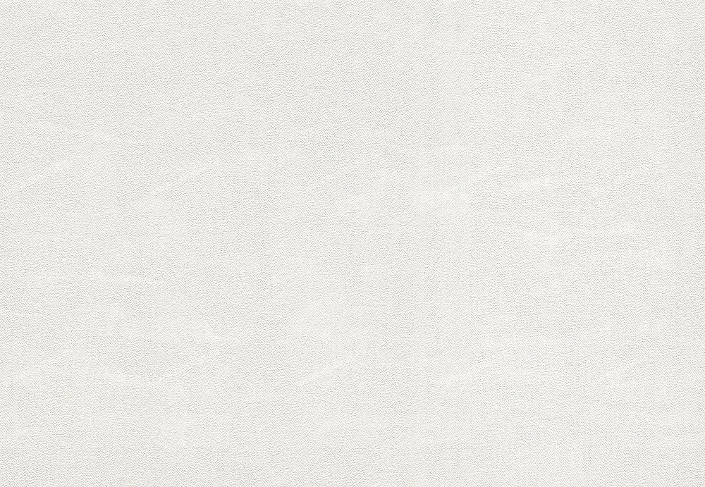 Обои A. S. Creation Esprit 8 939111