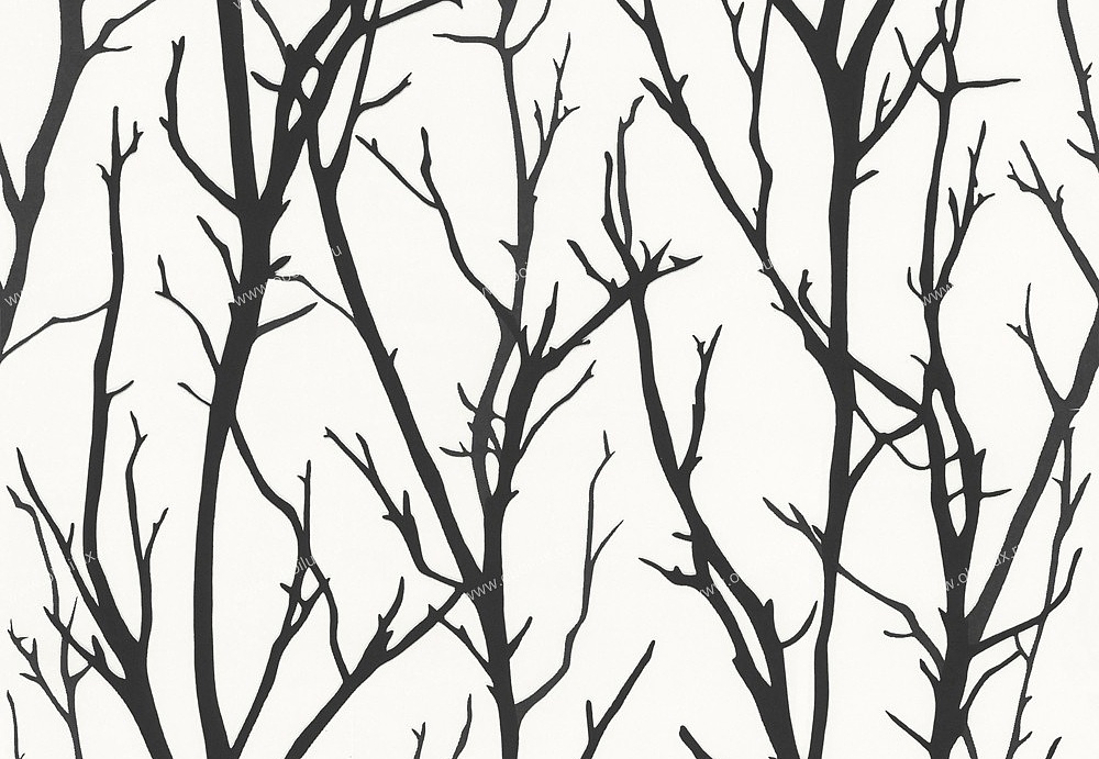 Обои A. S. Creation Black & White 2 2683-41