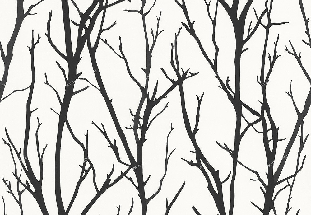 Обои A. S. Creation Black & White 2 2683-41