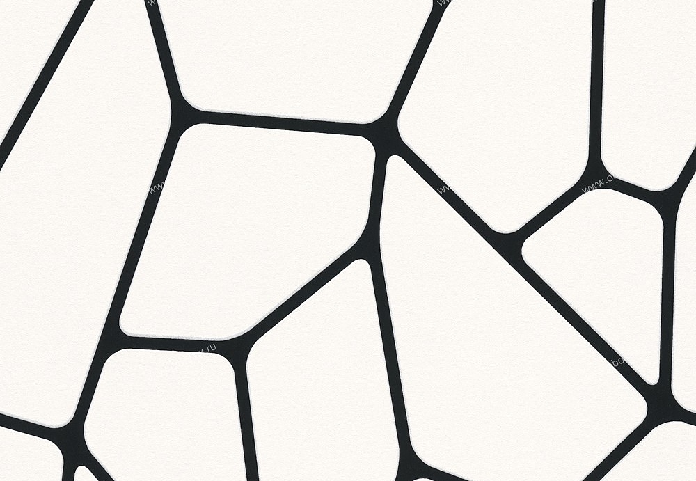 Обои A. S. Creation Black & White 2 255266
