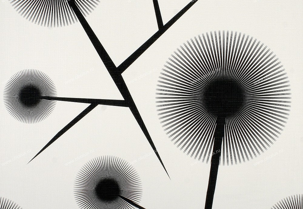 Обои A. S. Creation Black & White 2 6238-12