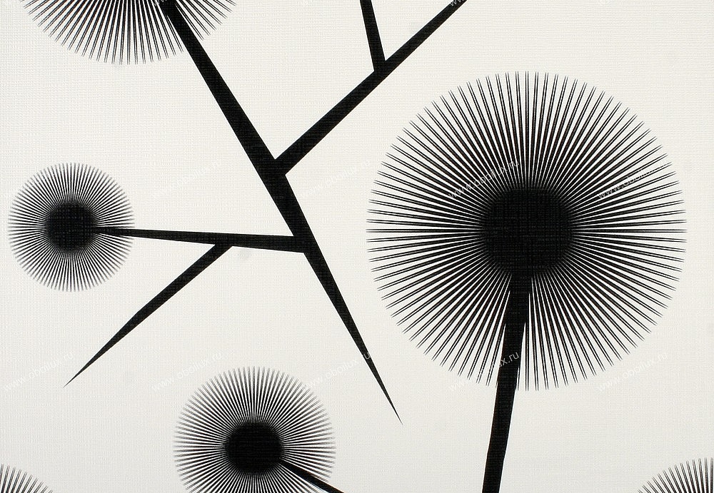 Обои A. S. Creation Black & White 2 6238-12