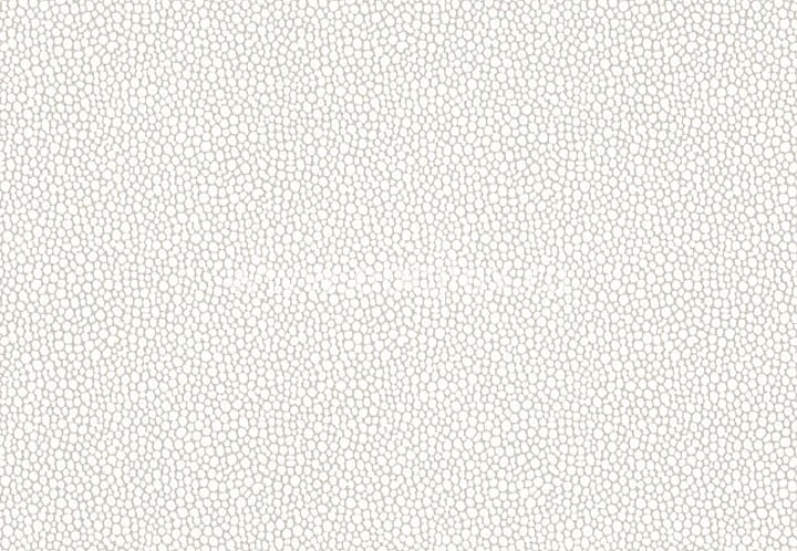 Обои Blue Mountain Black & White BC1581588