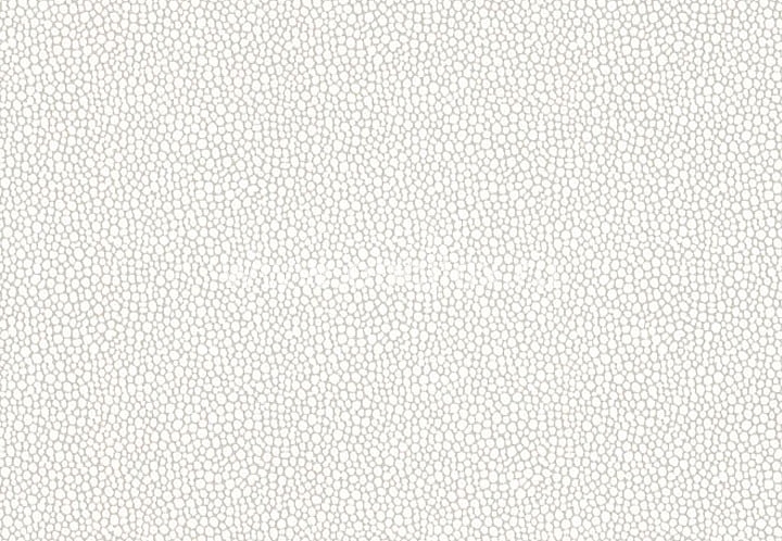 Обои Blue Mountain Black & White BC1581588