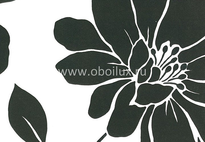 Обои Blue Mountain Black & White BC1582137