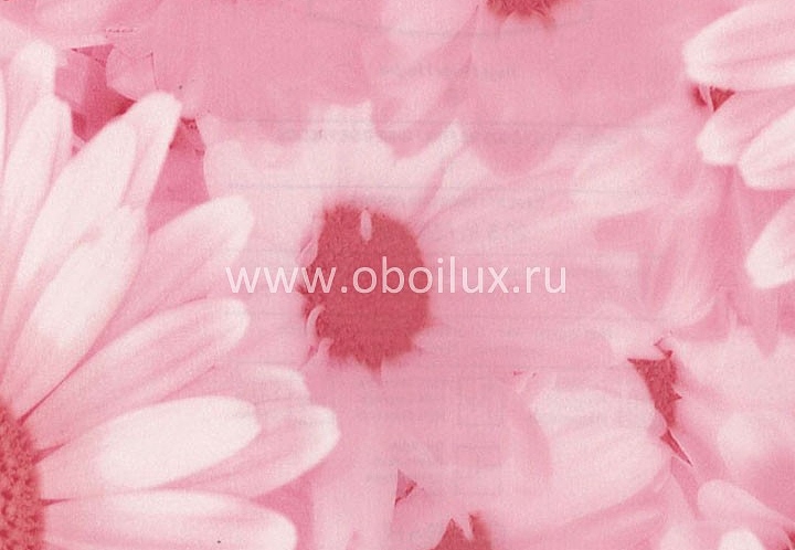 Обои Blue Mountain Girls BC1581205