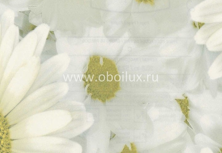 Обои Blue Mountain Girls BC1581207