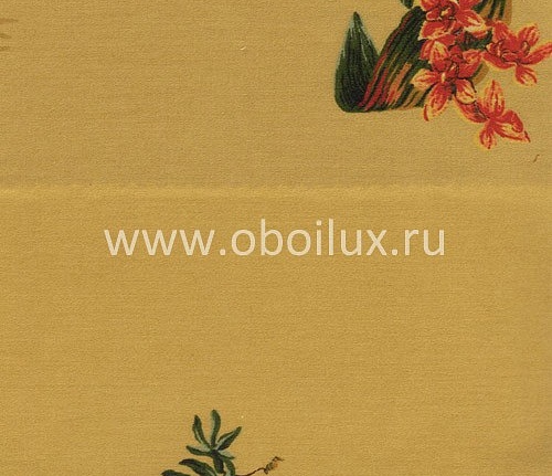 Обои York Antonina Vella - Botanica VB6853