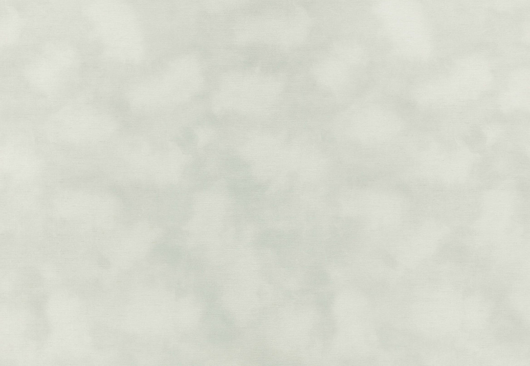 Обои Kirkby Design Wallcoverings vol.1 WK818/01
