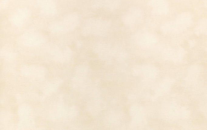 Английские обои Kirkby Design, коллекция Wallcoverings vol.1, артикул WK818/02