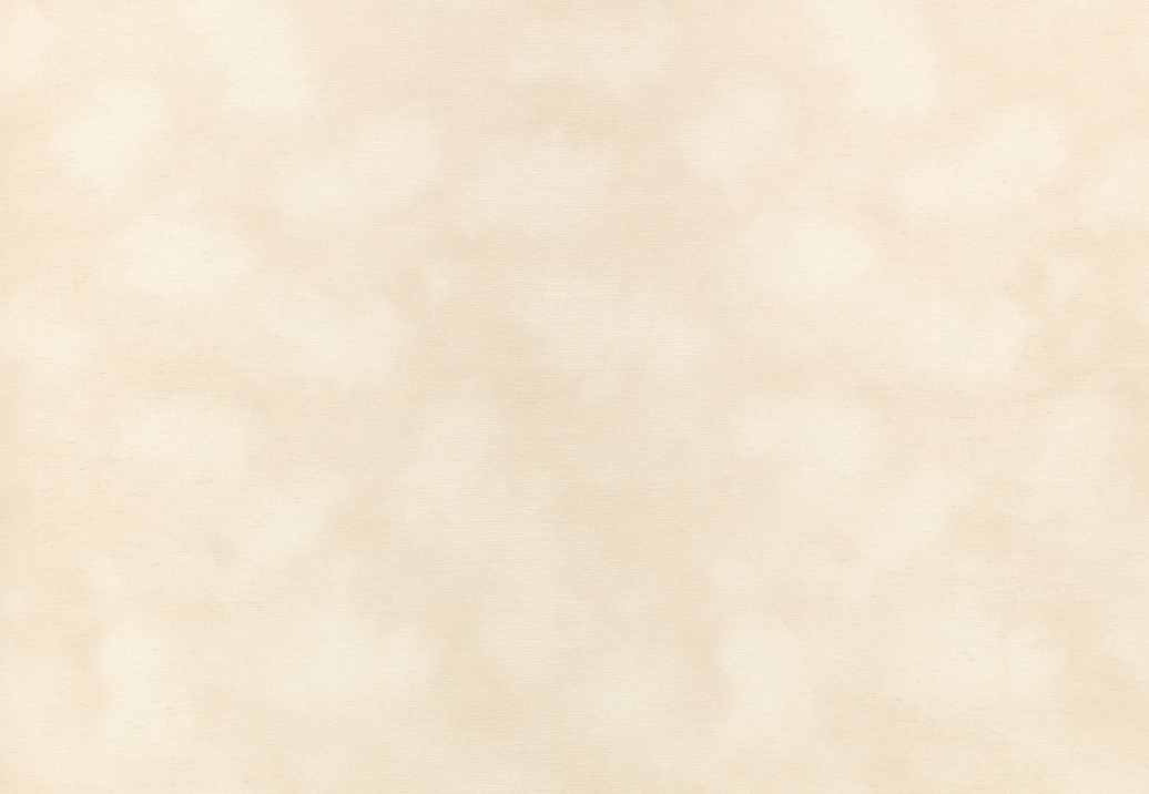 Обои Kirkby Design Wallcoverings vol.1 WK818/02