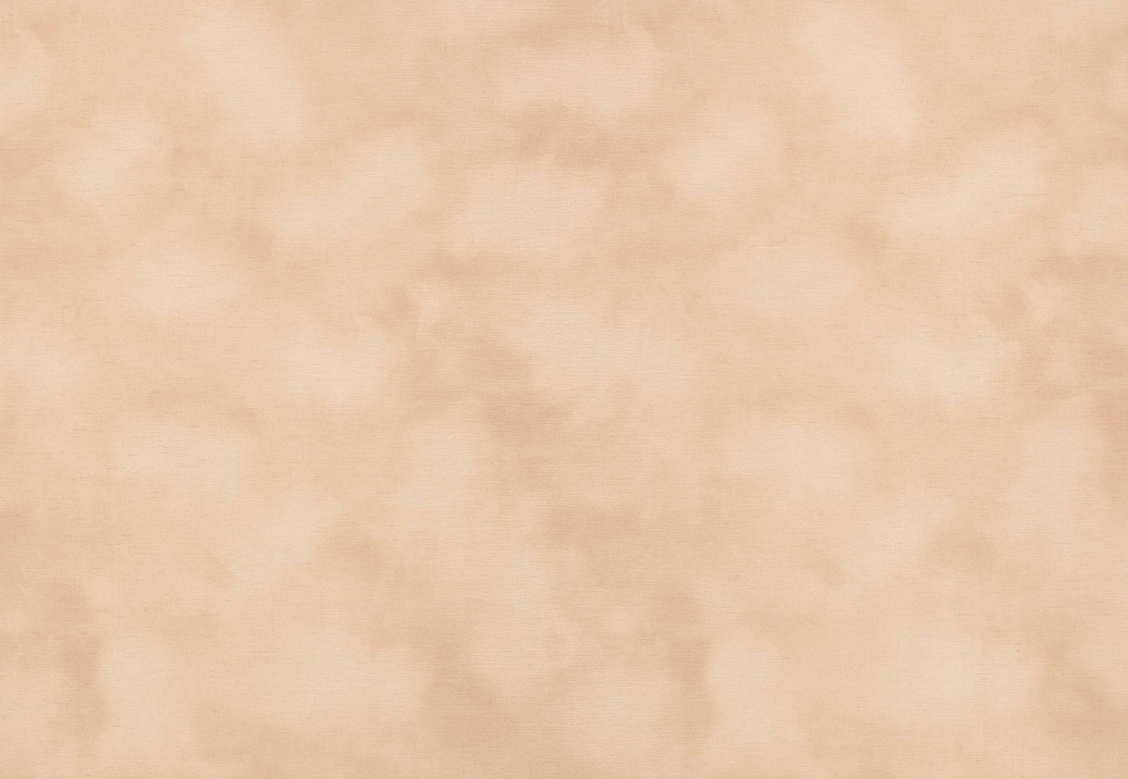 Обои Kirkby Design Wallcoverings vol.1 WK818/04