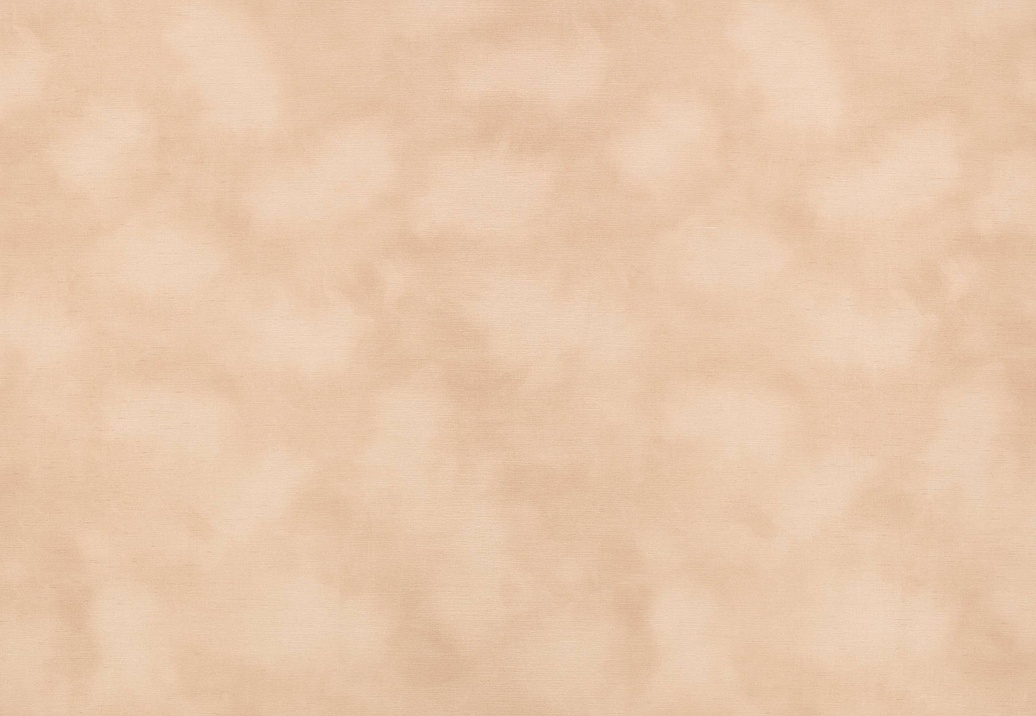 Обои Kirkby Design Wallcoverings vol.1 WK818/04