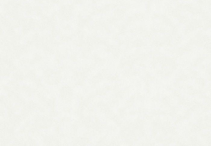 Обои Rasch Bauhaus 323156