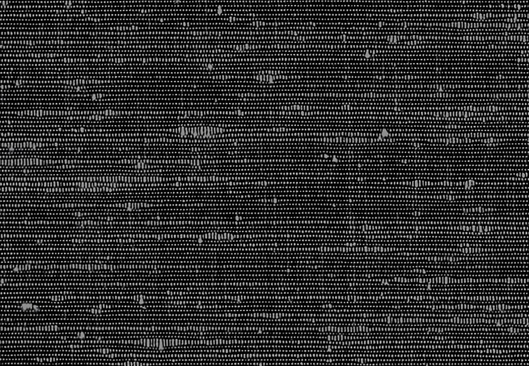 Обои Phillip Jeffries Tailored Walls 8980
