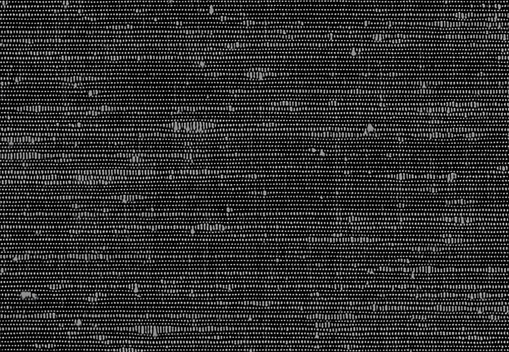 Обои Phillip Jeffries Tailored Walls 8980