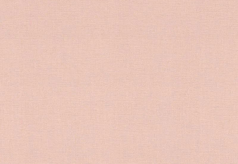 Обои Rasch Onszelf Stories 531350