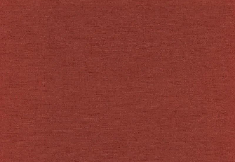 Обои Rasch Onszelf Stories 531374