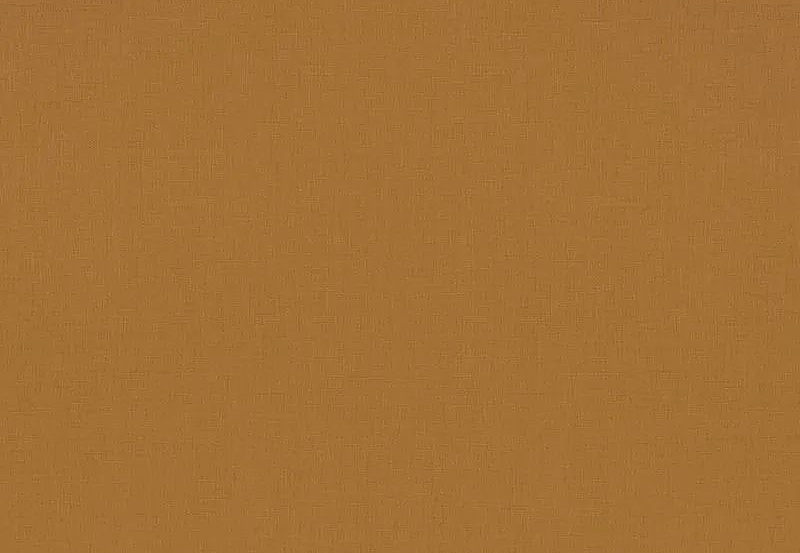 Обои Rasch Onszelf Stories 531466