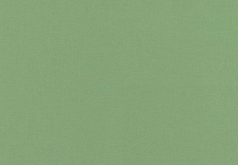 Обои Rasch Onszelf Stories 537918