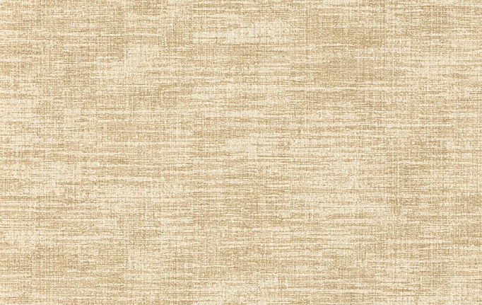 Французские обои Caselio, коллекция Velvet, артикул VEL102852000