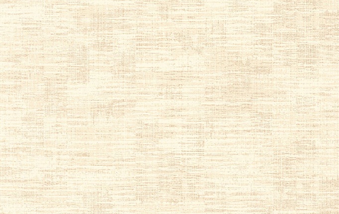 Французские обои Caselio, коллекция Velvet, артикул VEL102841221