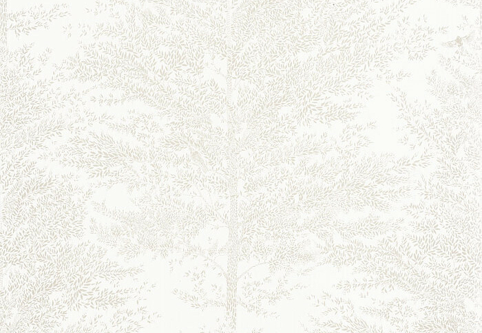 Обои Caselio La Foret FRT101800021