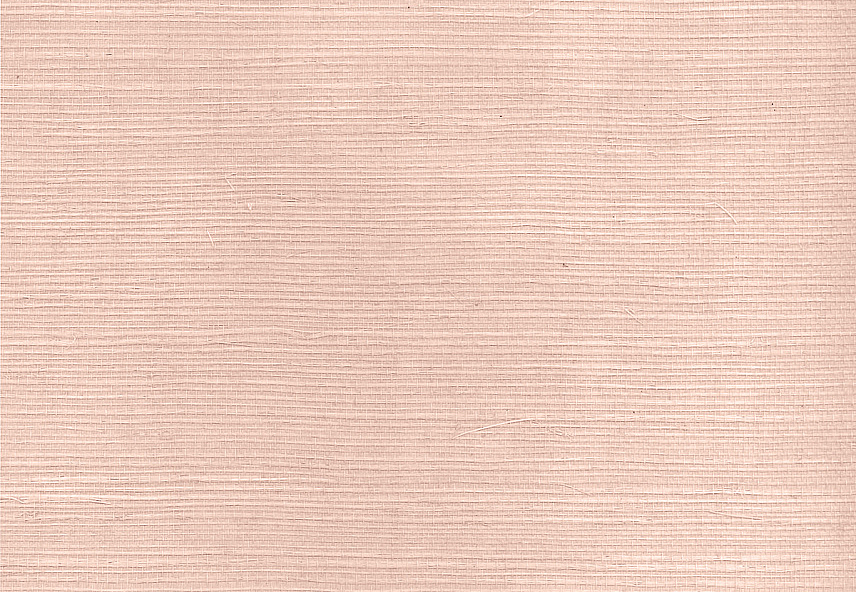 Обои Paper & Ink Pure Elements SY21811