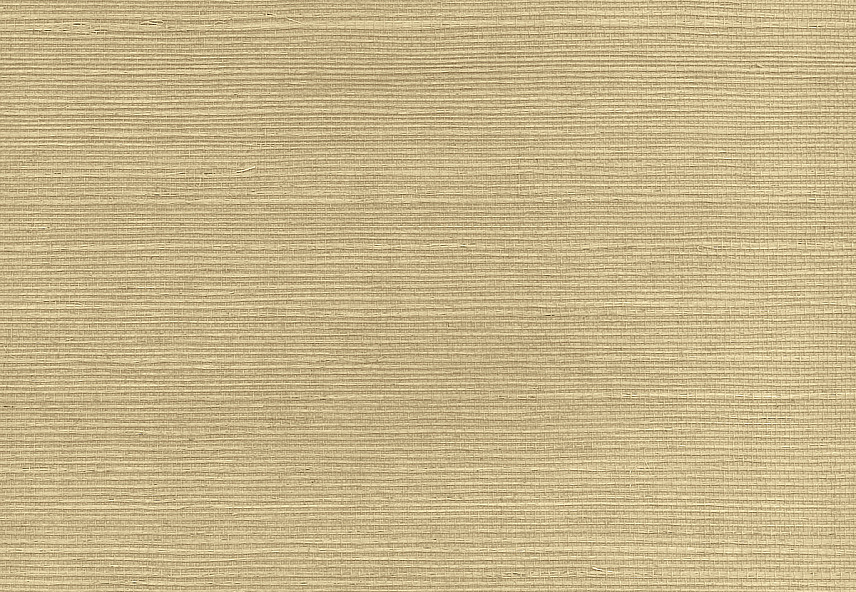 Обои Paper & Ink Pure Elements SY21813