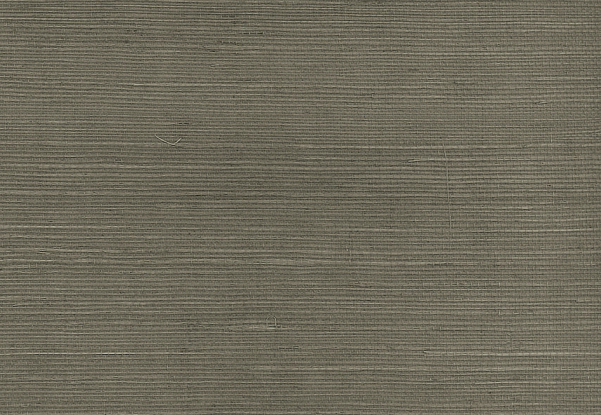 Обои Paper & Ink Pure Elements SY21828