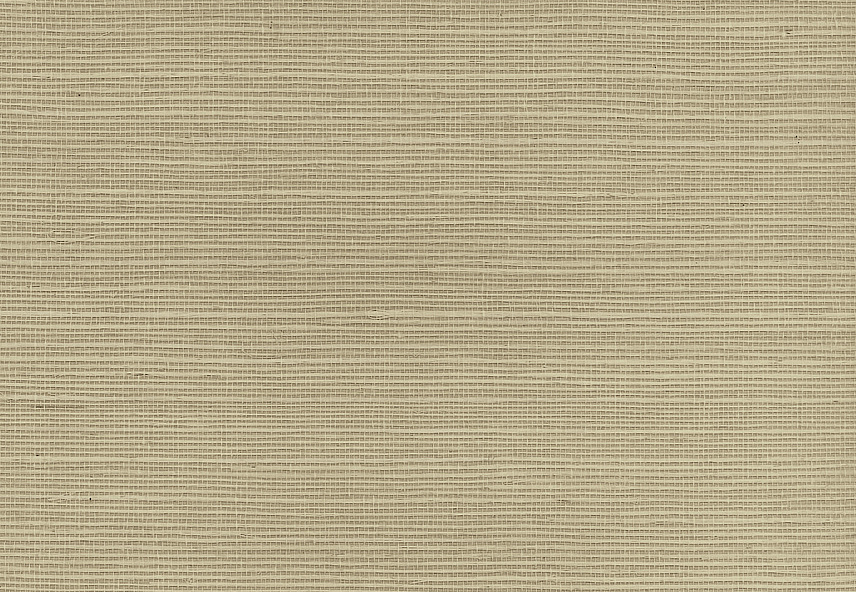 Обои Paper & Ink Pure Elements SY21843