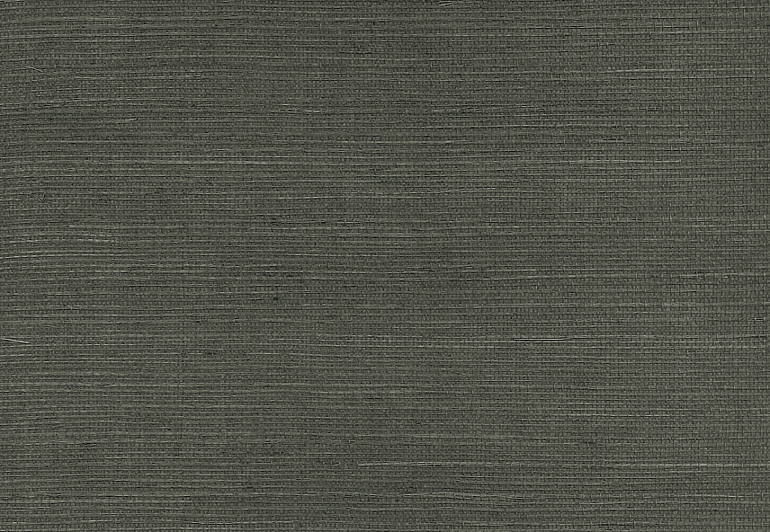 Обои Paper & Ink Pure Elements SY21887