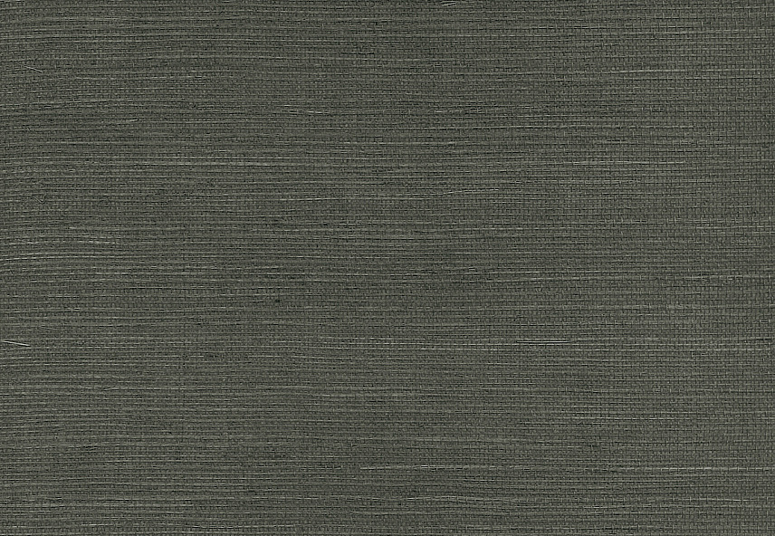 Обои Paper & Ink Pure Elements SY21887