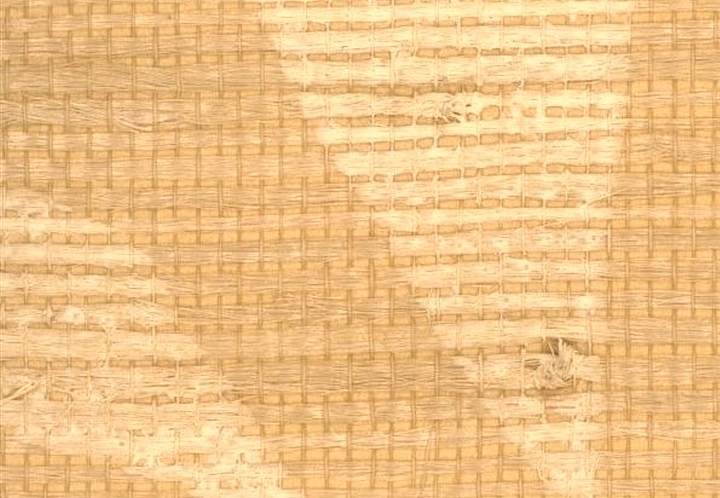 Обои Stroheim Silhouettes In Bloom Jute/Almond on Flax