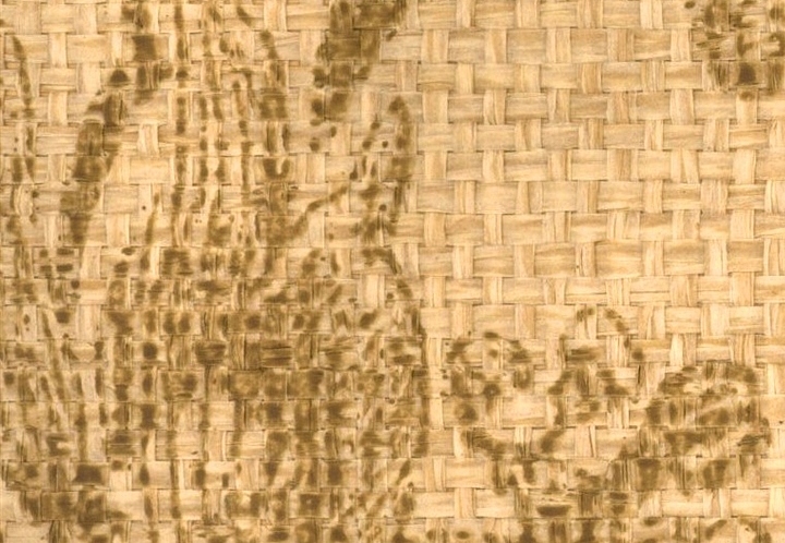 Обои Stroheim Silhouettes Palm Garden Paperweave/Pecan on Natural