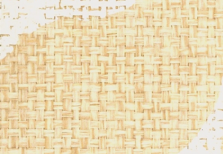 Обои Stroheim Silhouettes Viney Leaf Paperweave/Bisque on Natural
