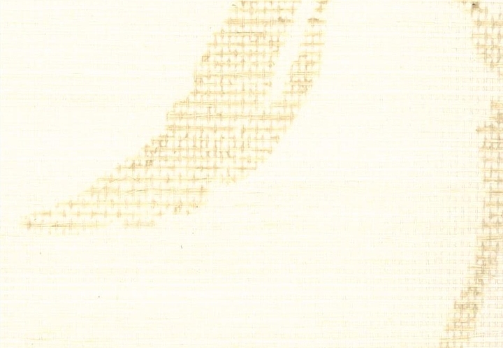 Обои Stroheim Silhouettes Viney Leaf Sisal/Sand on Oyster