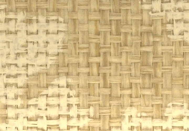Обои Stroheim Silhouettes Wildflowers Paperweave/Bisque on Natural