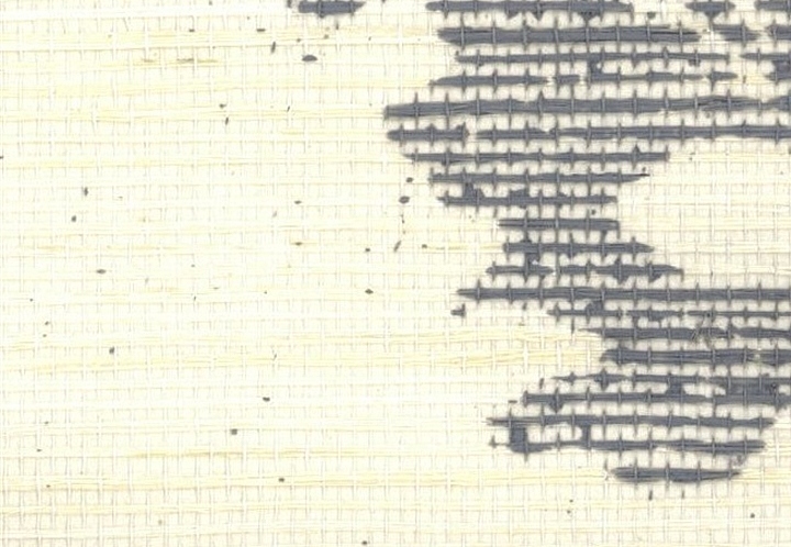 Обои Stroheim Silhouettes Wildflowers Sisal/Gray on Oyster