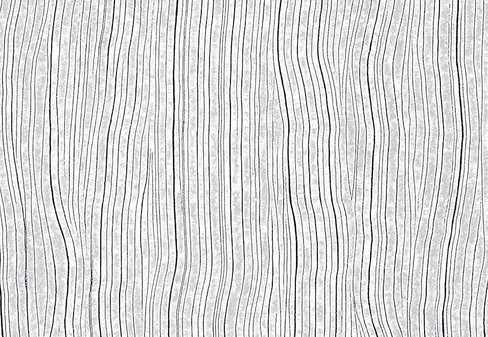 Обои Arte Monochrome 54041