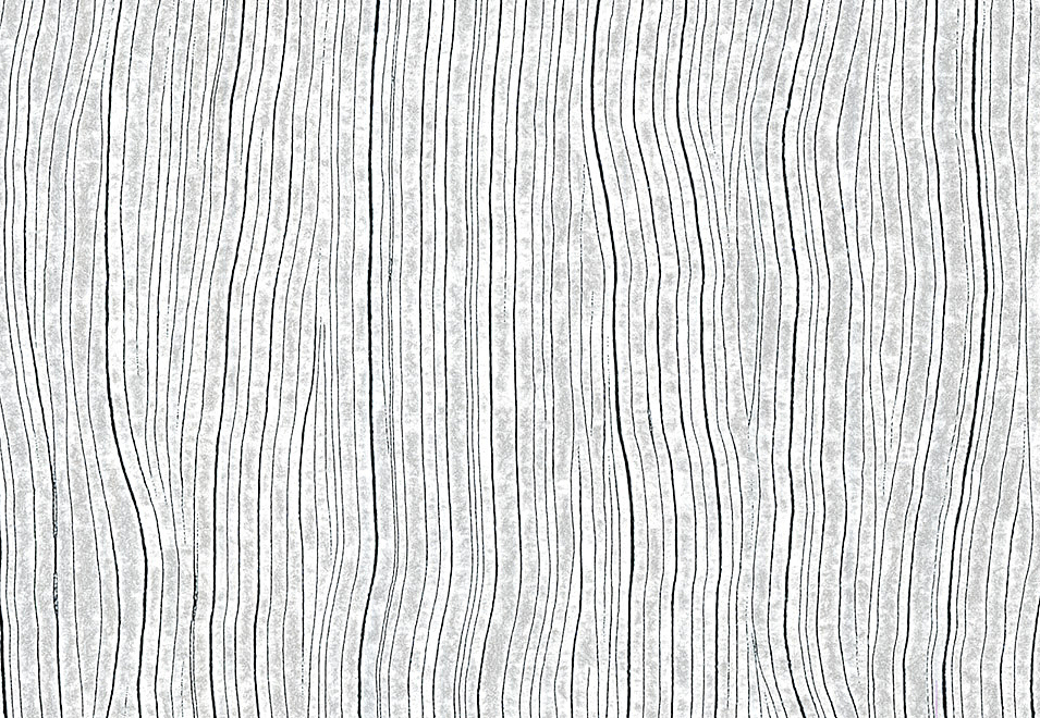 Обои Arte Monochrome 54041