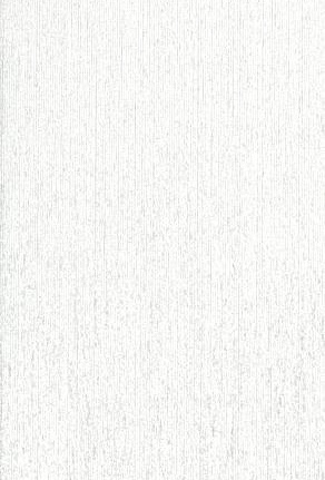 Обои Sirpi Grand Classic 13870