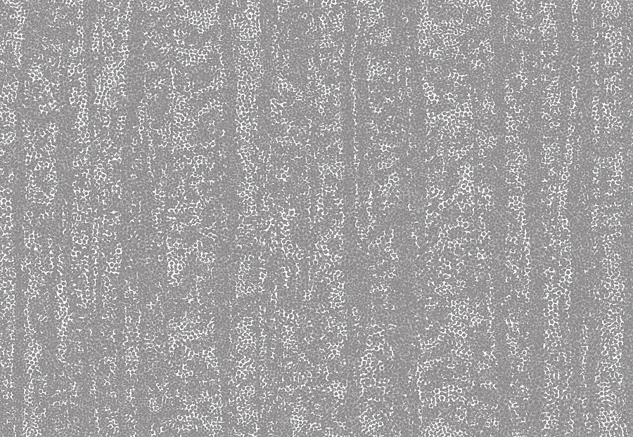 Обои Tiffany Designs Reef RE39
