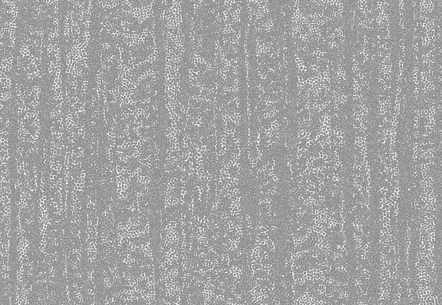 Обои Tiffany Designs Reef RE39