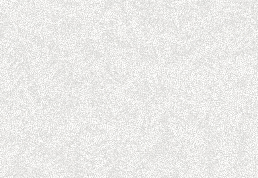 Обои Tiffany Designs Reef RE41