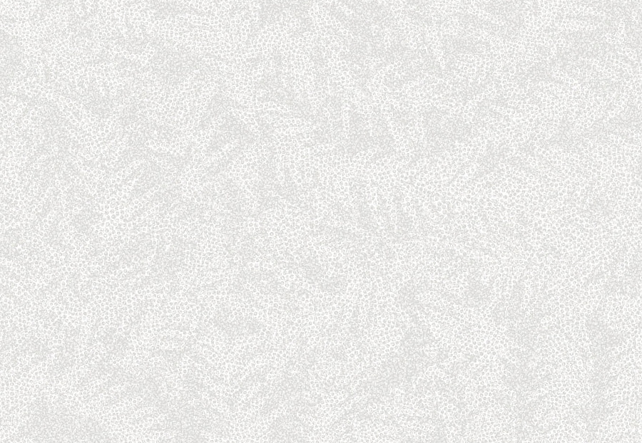 Обои Tiffany Designs Reef RE41
